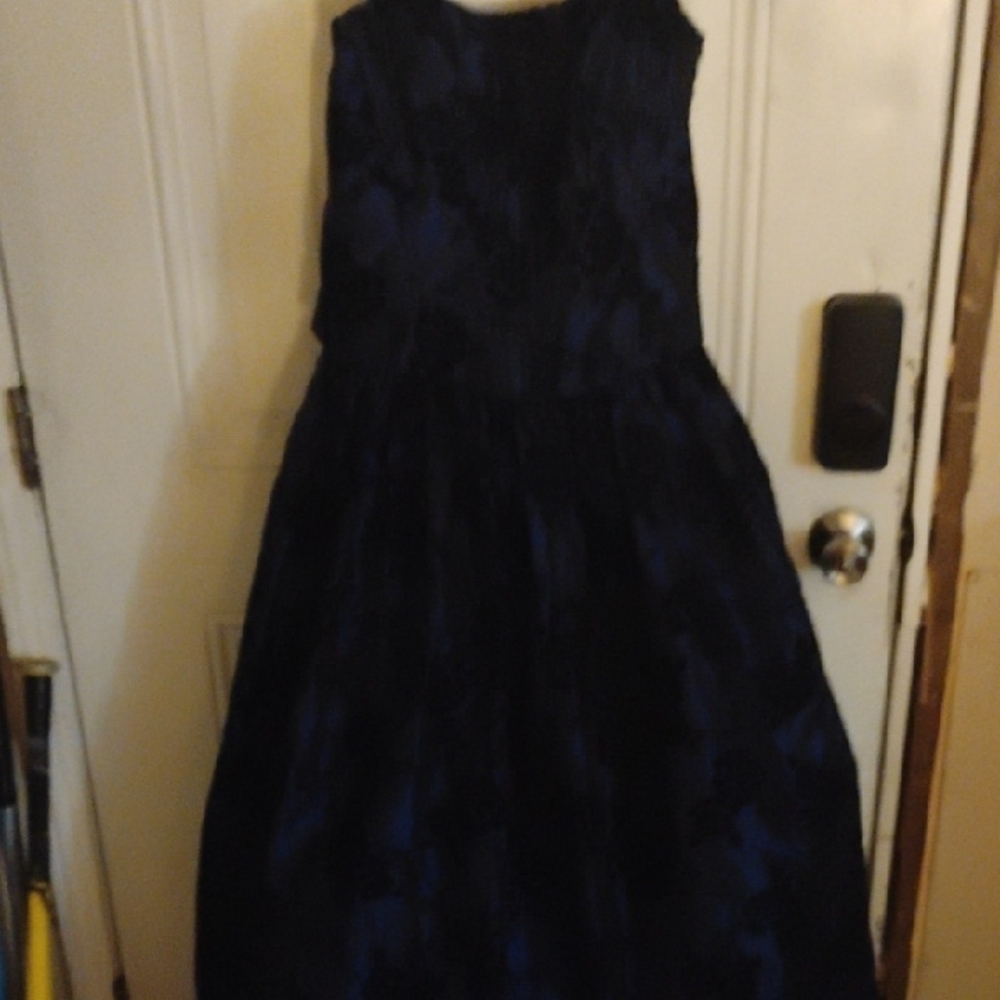 Elegant Black and Blue Dress